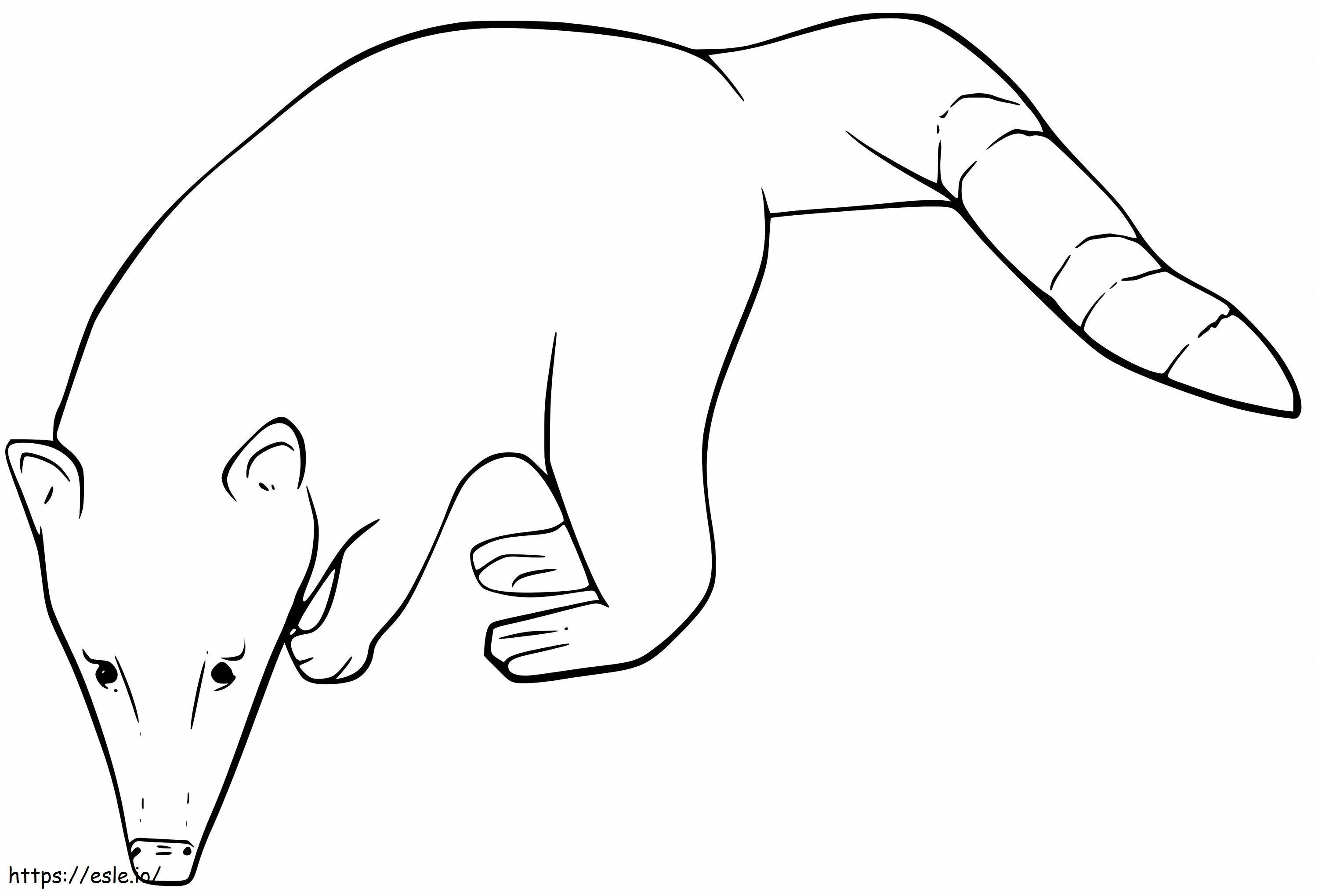Free Coats coloring page