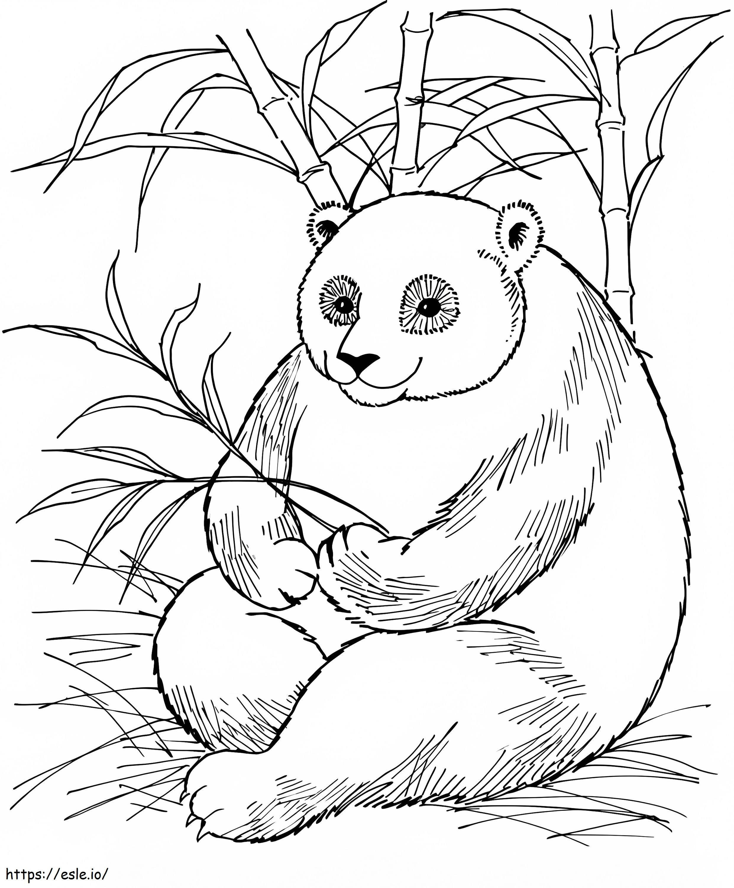 Panda Színezni kifestő
