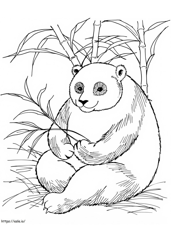 Panda Színezni kifestő