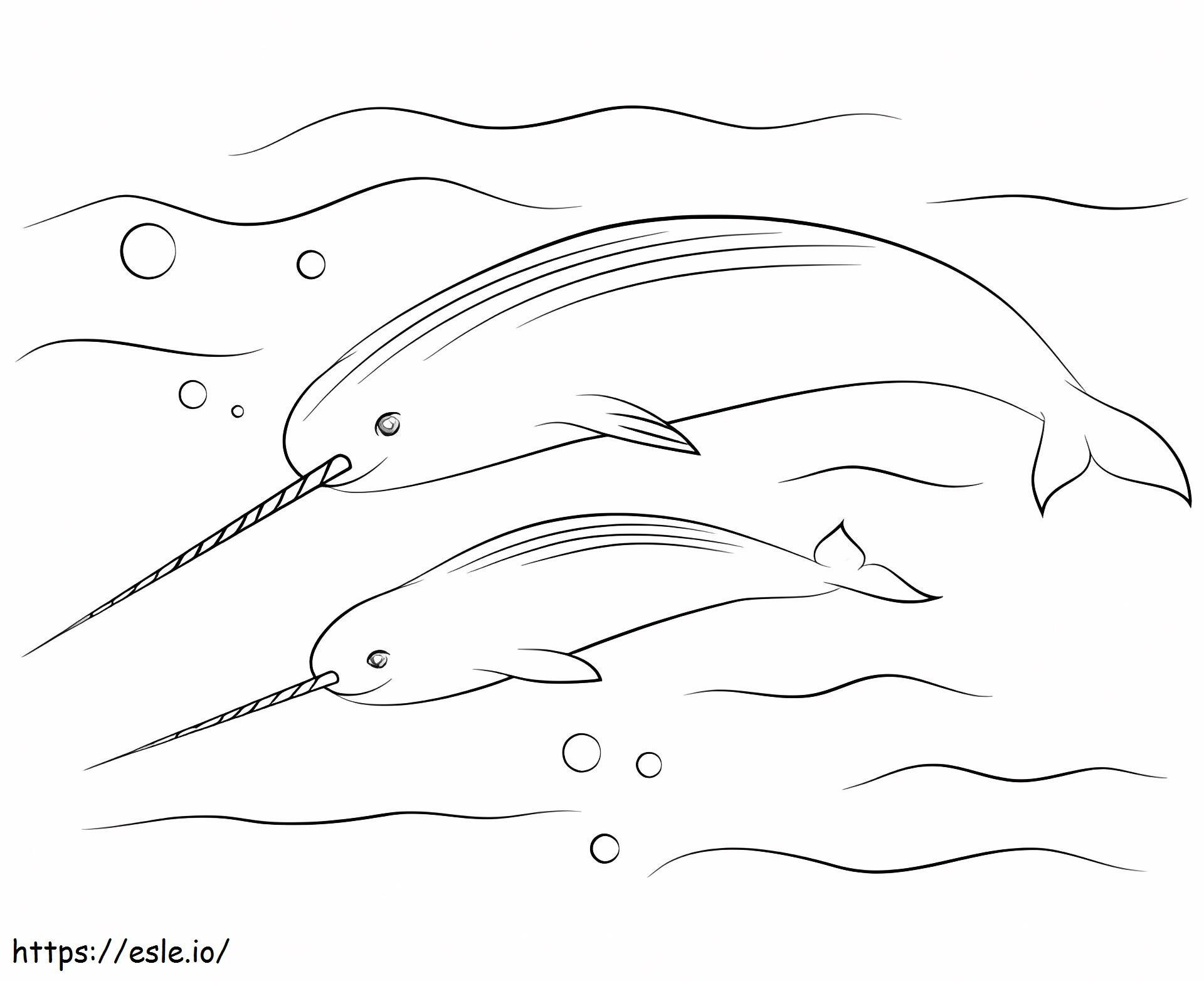 1533264207 Two Narwhal A4 coloring page