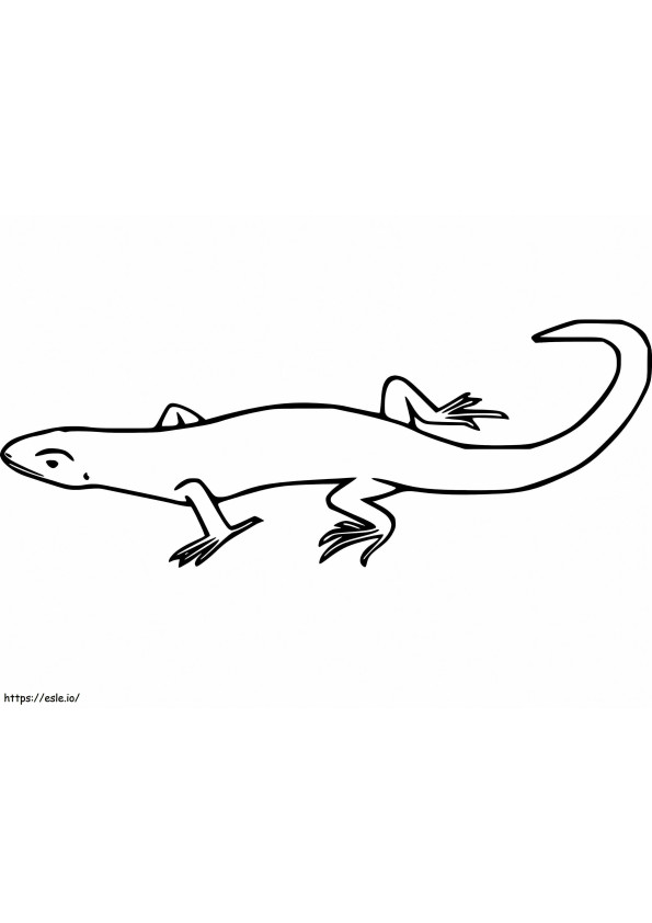Easy Skink coloring page