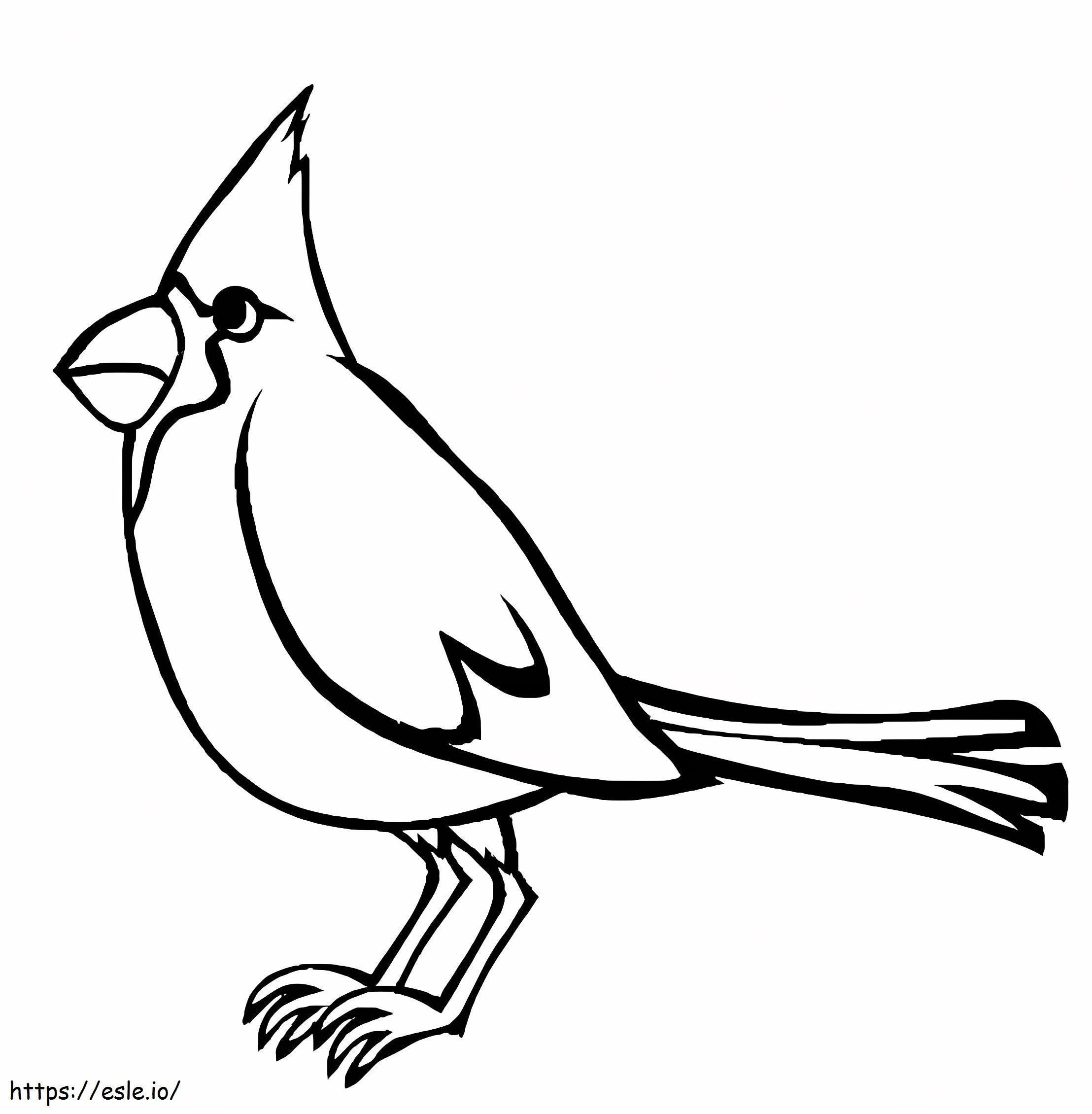 Desen Cardinal de colorat