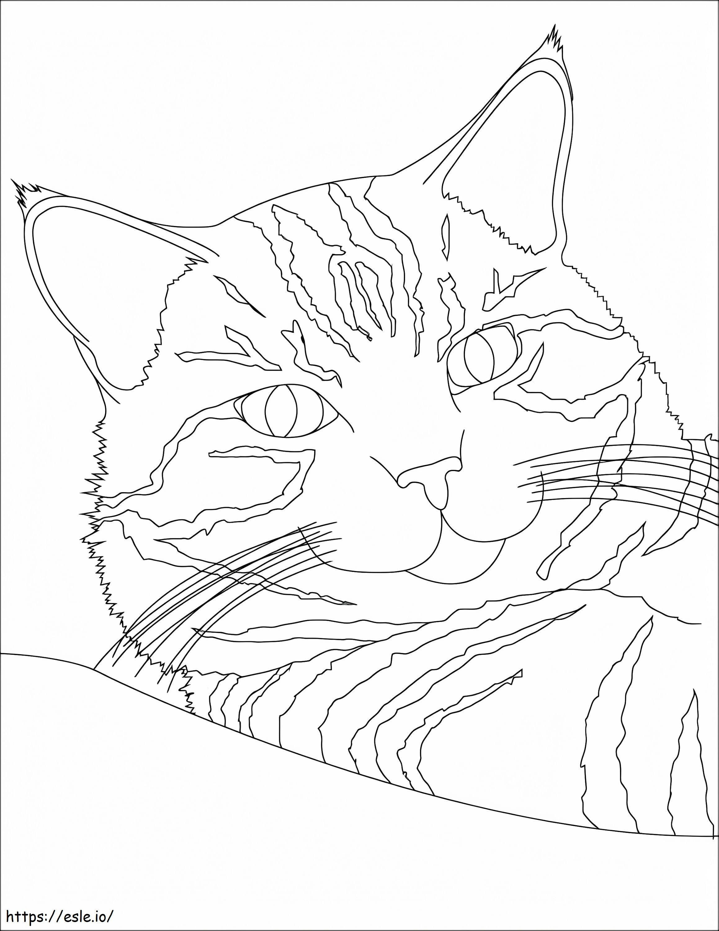 Coloriage Chat tigré à imprimer dessin