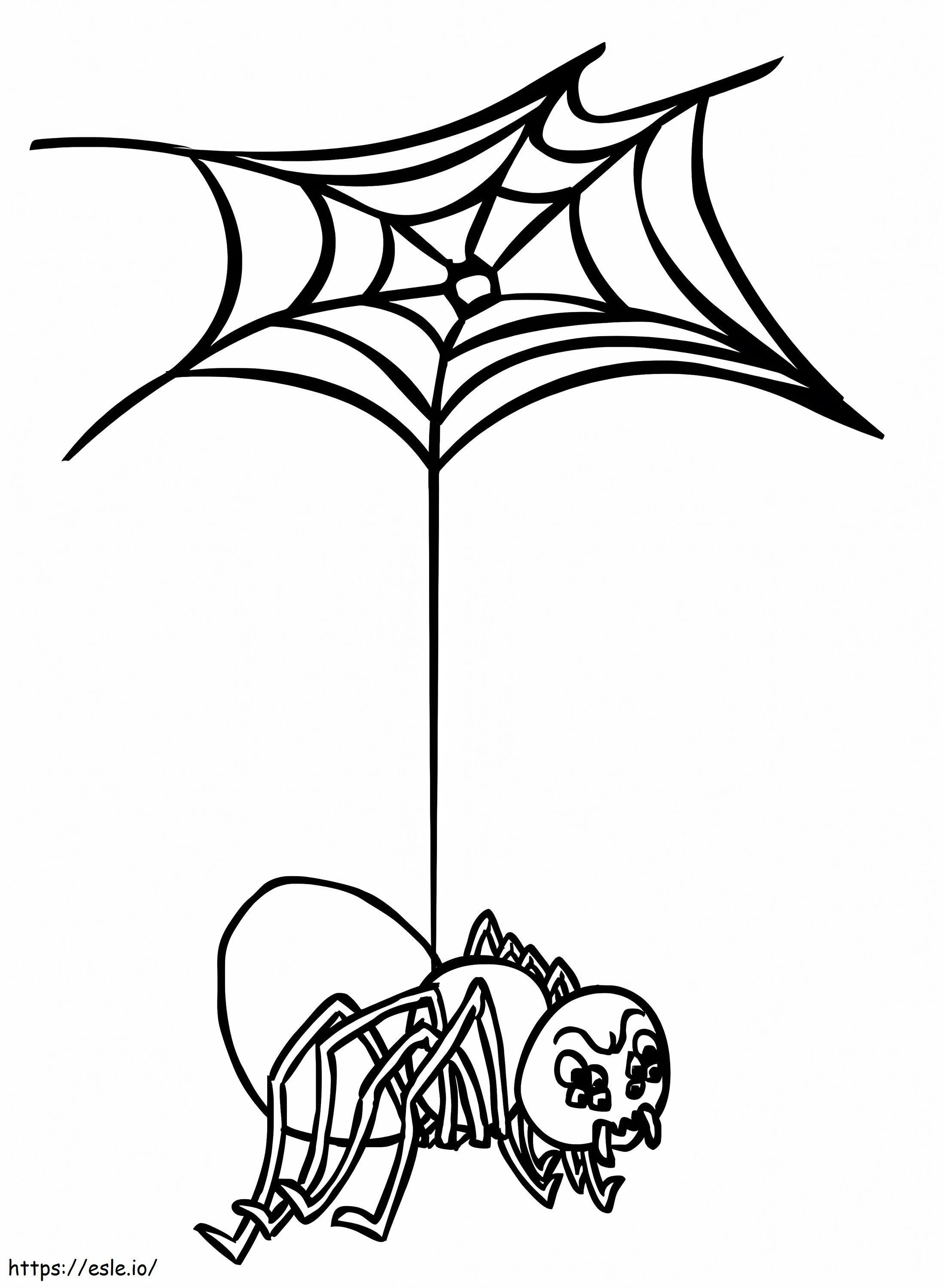 蜘蛛と巣 ぬりえ - 塗り絵