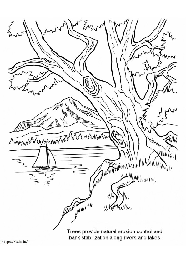 River Bank coloring page