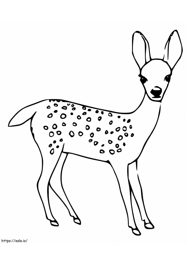 鹿の赤ちゃん ぬりえ - 塗り絵