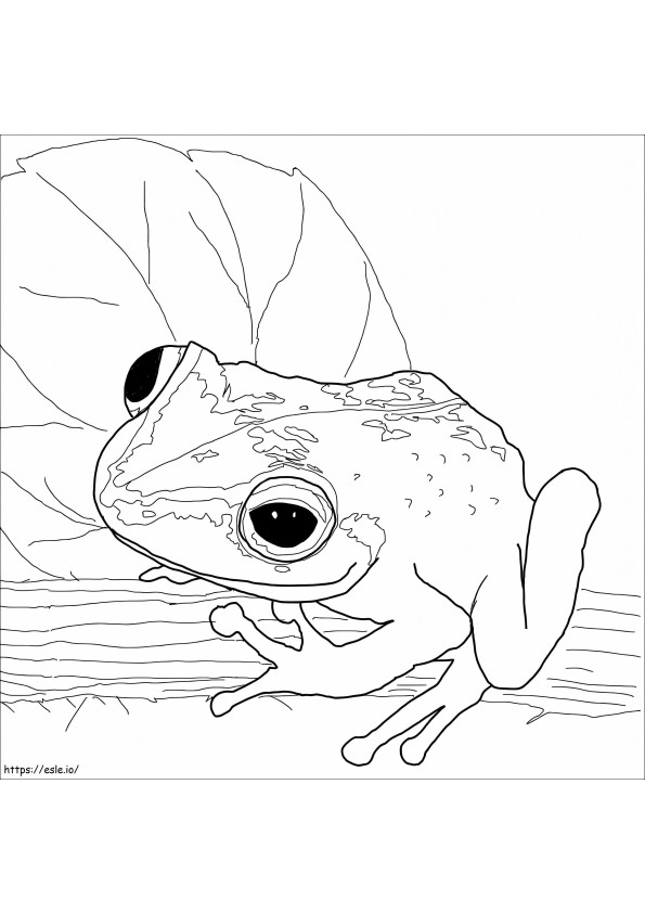 Cook The Frog coloring page