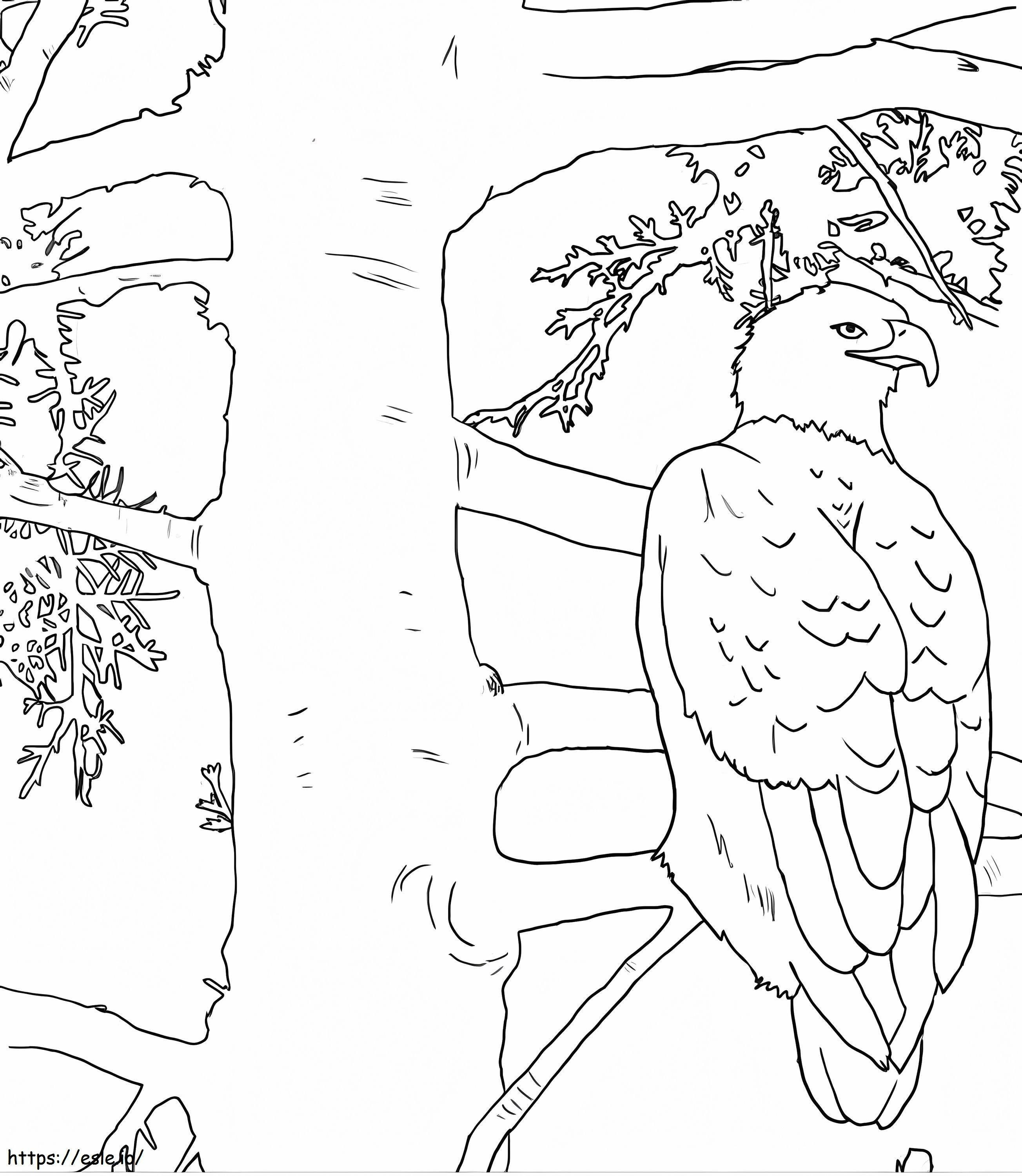 Vulturul cheuș în copac de colorat