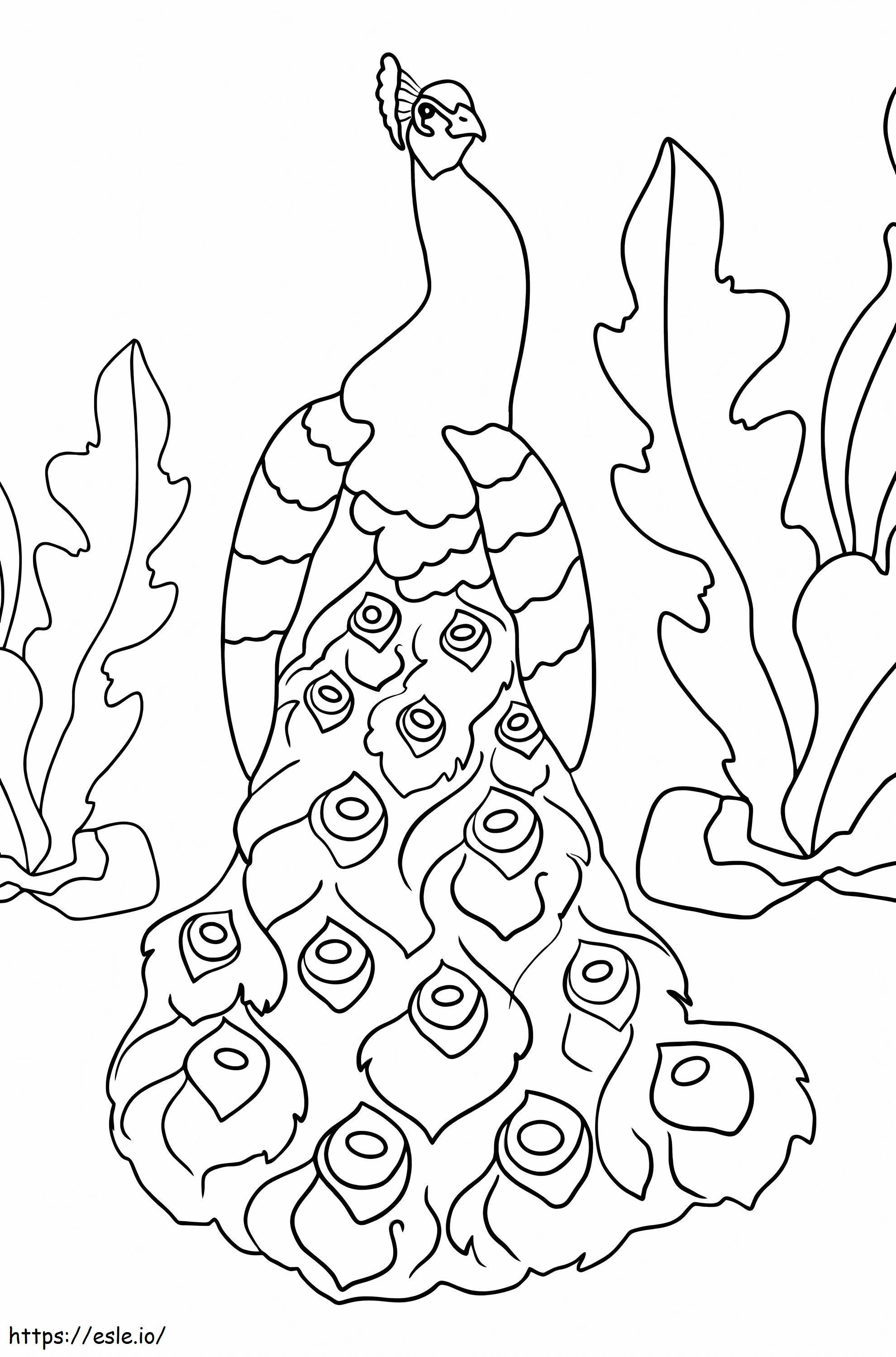 Printable Peacock coloring page