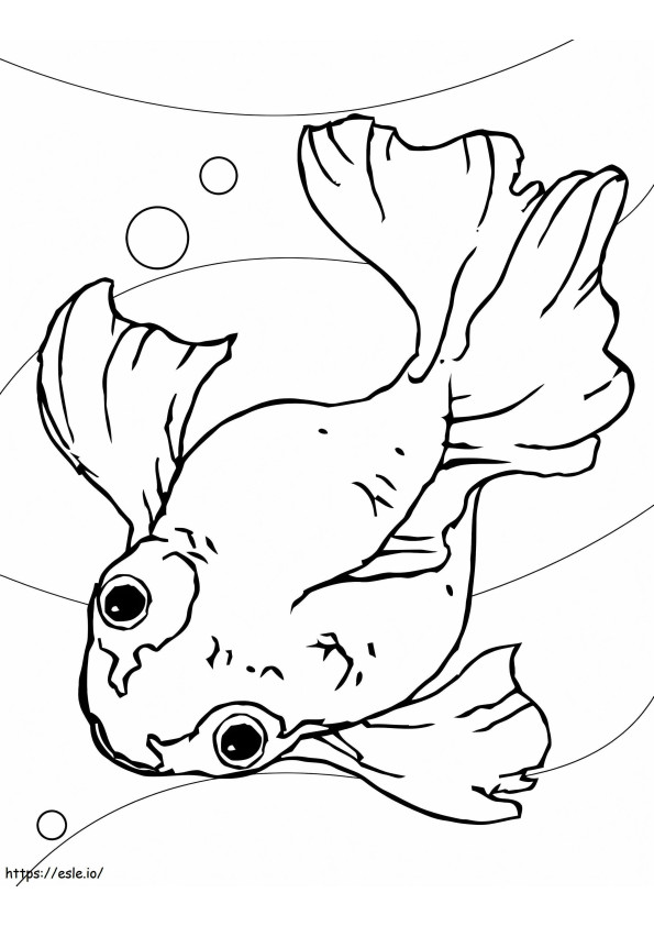 Goldfish 5 coloring page