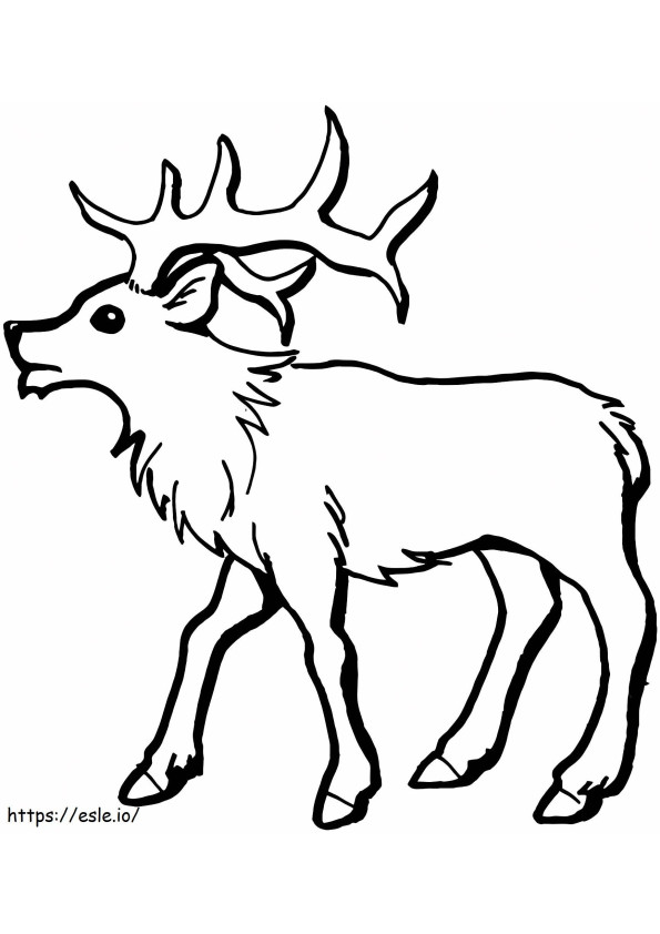 Young Moose coloring page