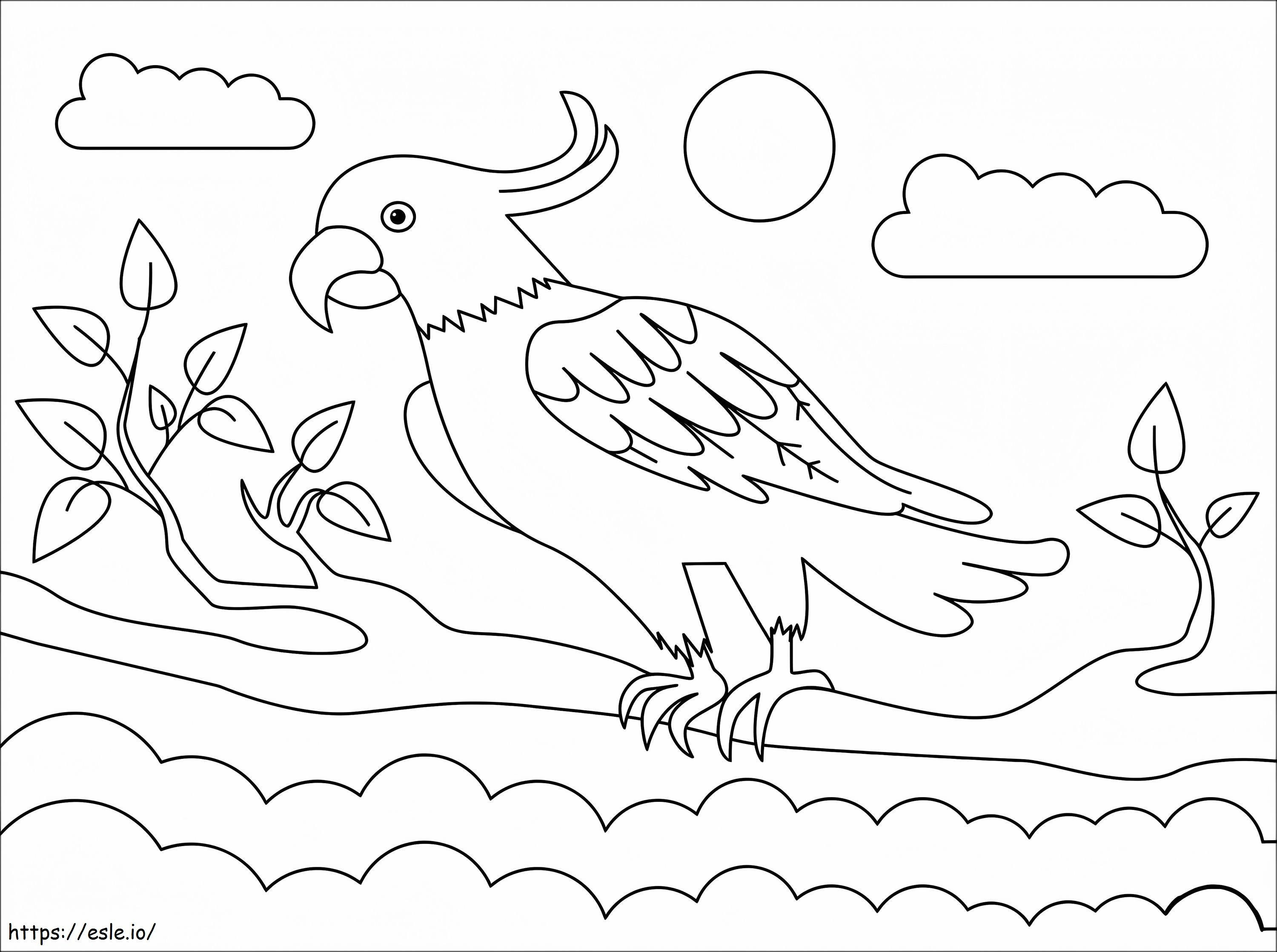 Cockatoo 1024X764 coloring page