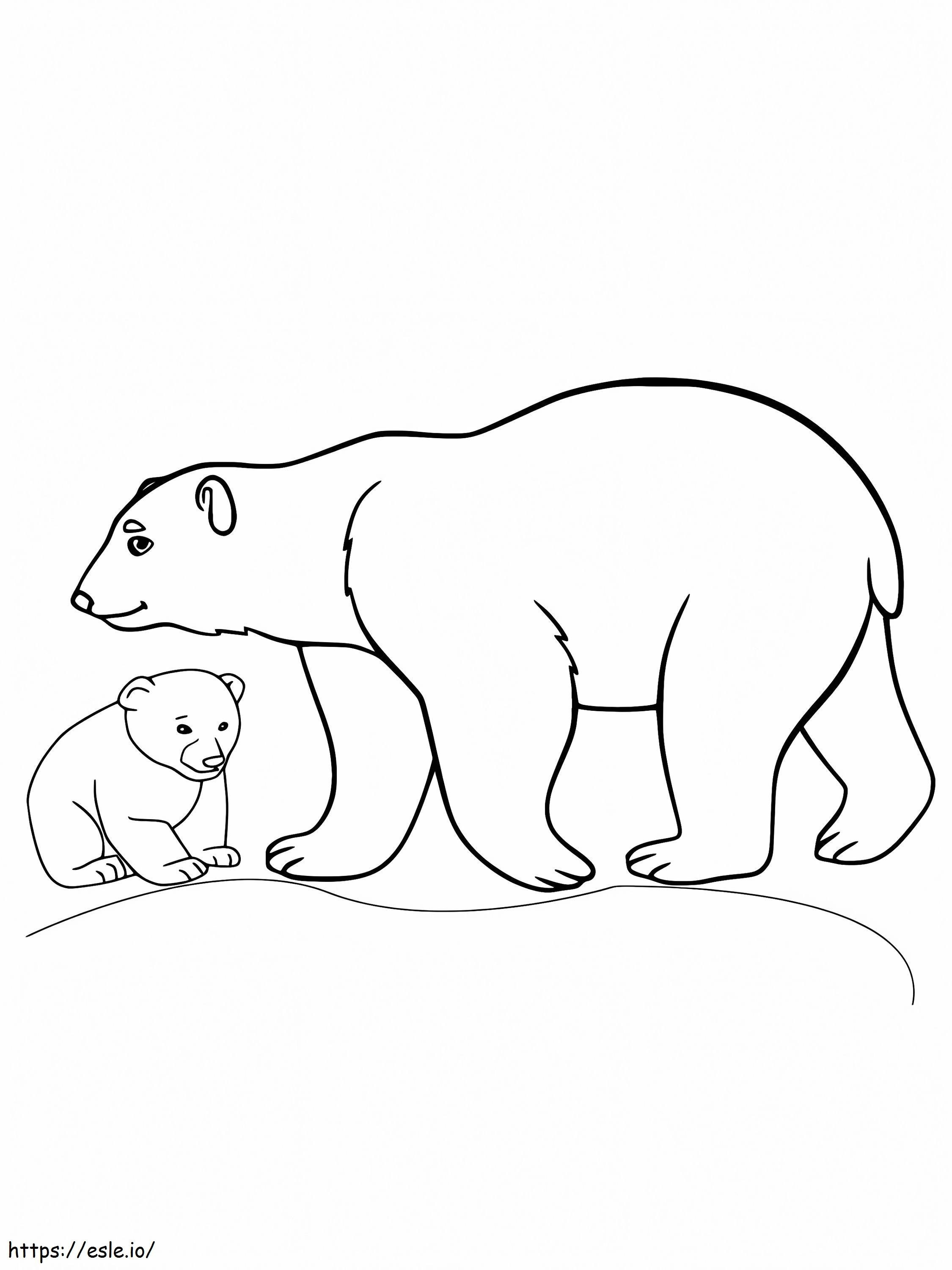 Urso e filhote de animais árticos para colorir