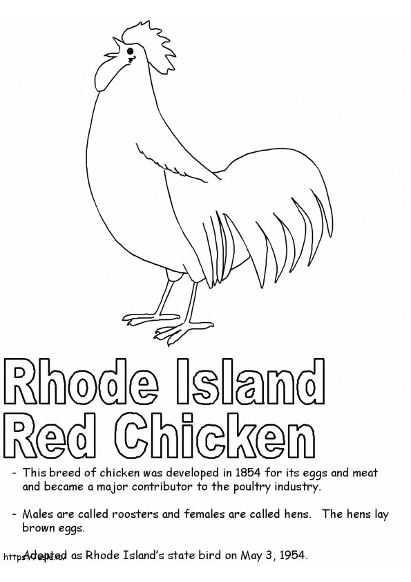 Rode kip uit Rhode Island kleurplaat