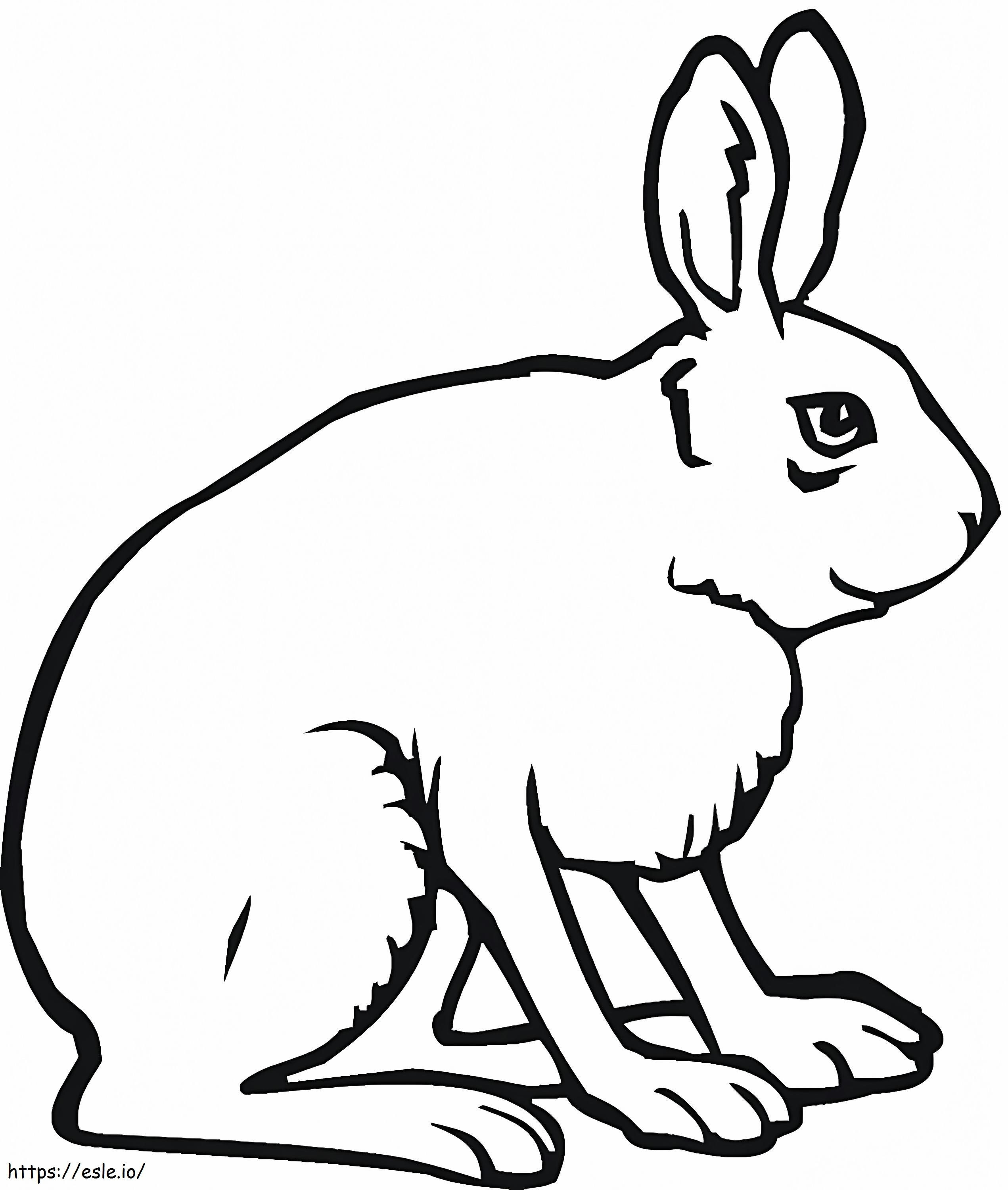 Jack Tavşan boyama