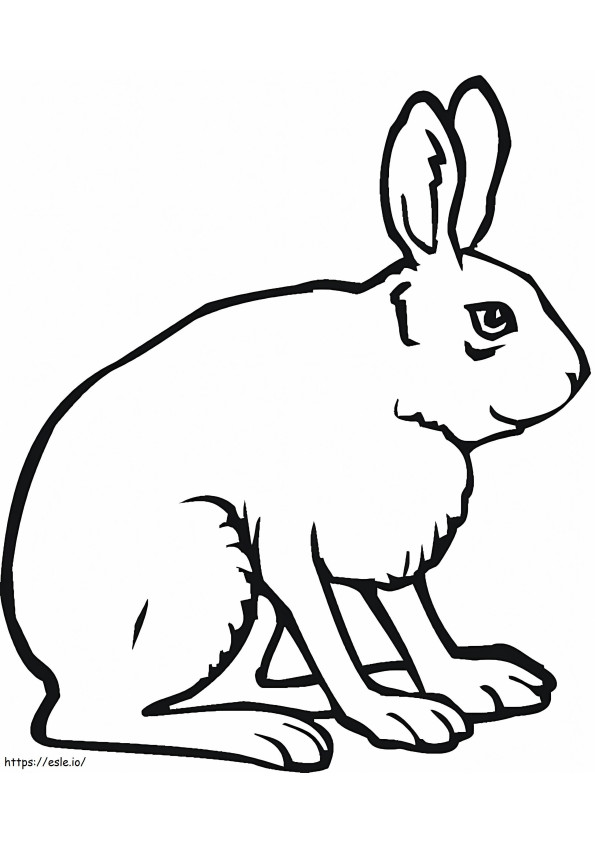 Jack Rabbit coloring page