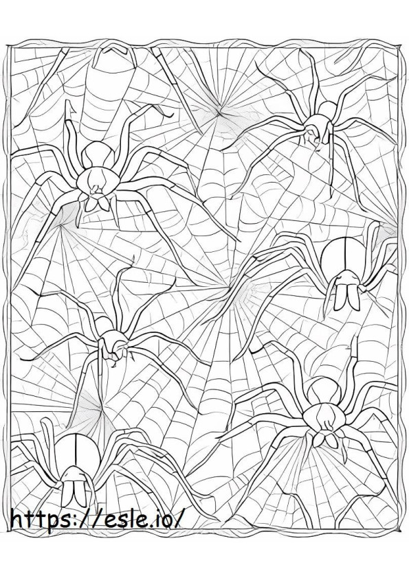 Twardy pająk kolorowanka
