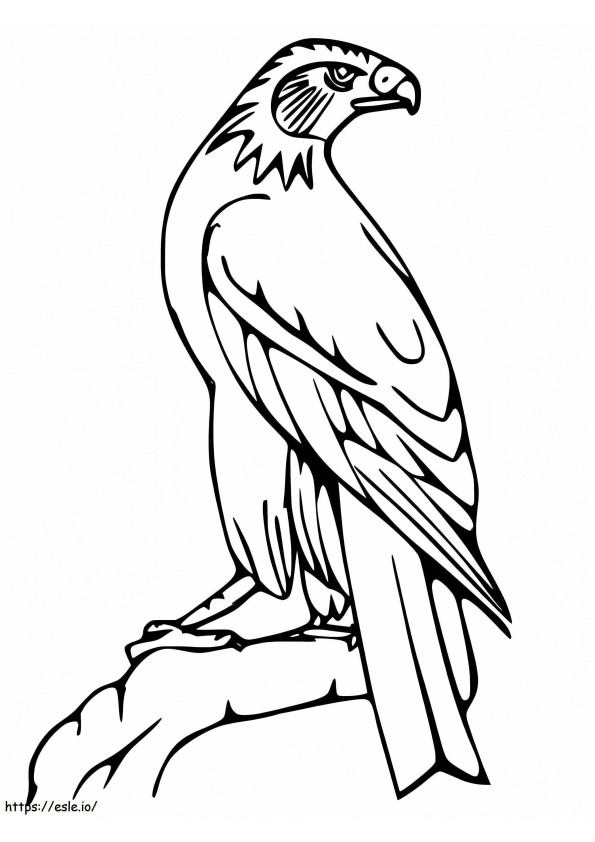 águila pescadora en una rama para colorear