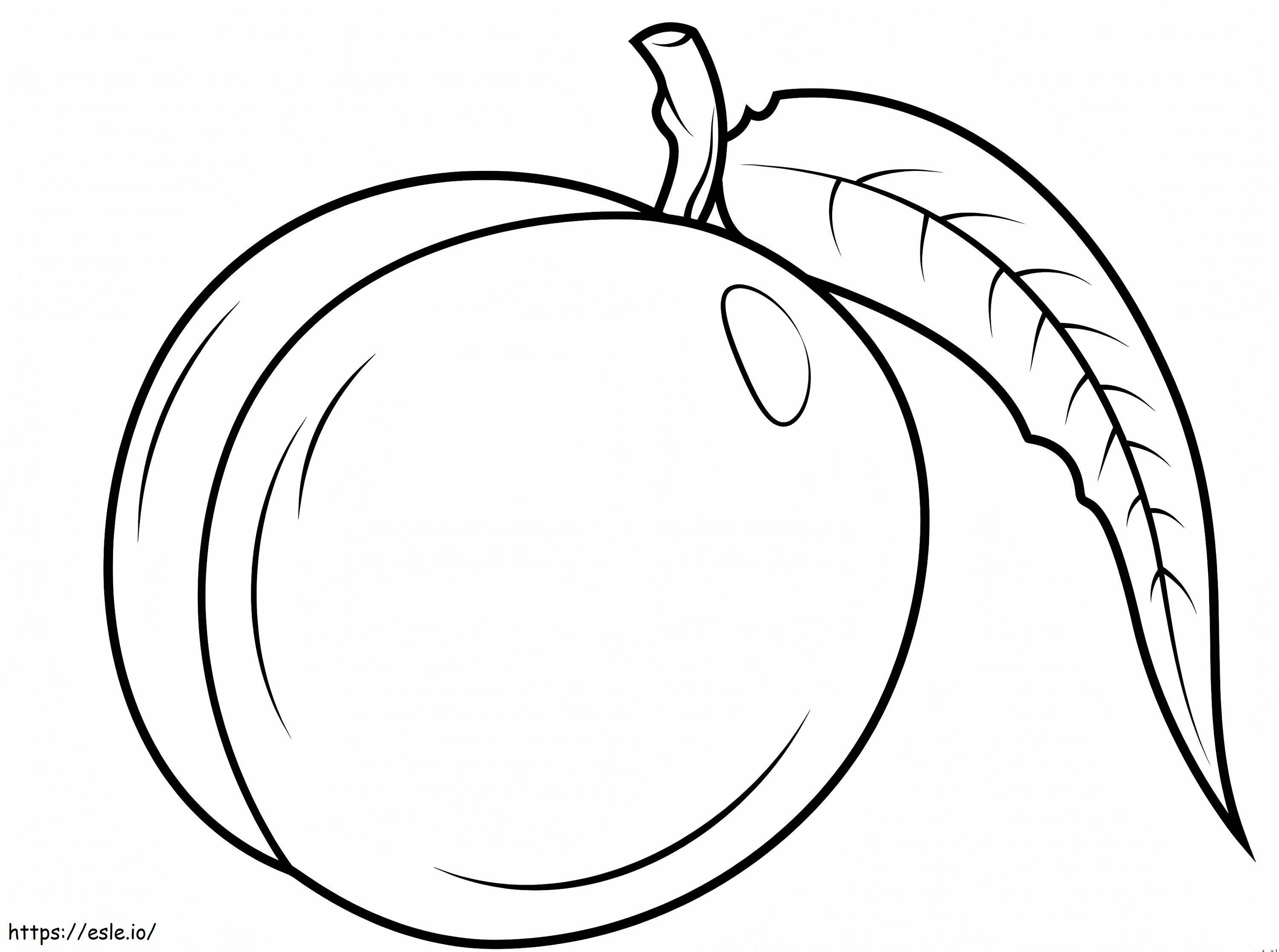 1559789077 A Nectarine A4 coloring page