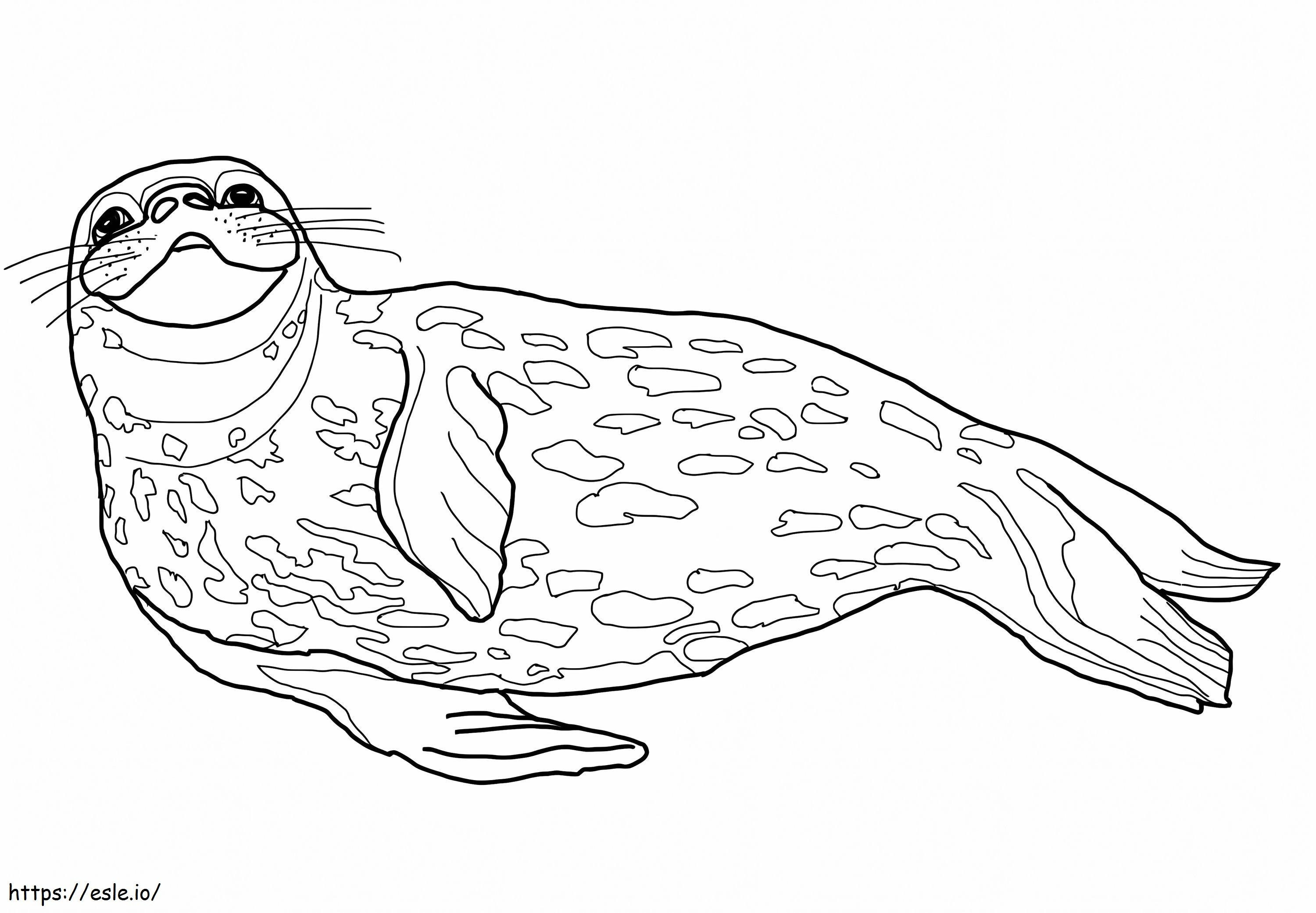 Weddell Seal kifestő