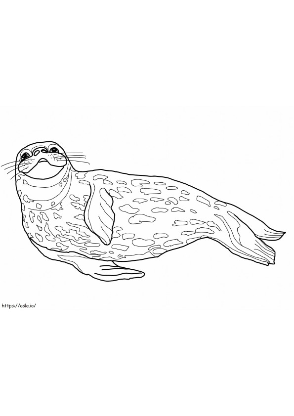 Weddell Seal coloring page