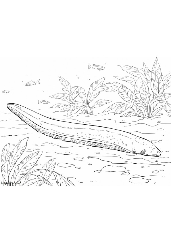 Electric Eel coloring page
