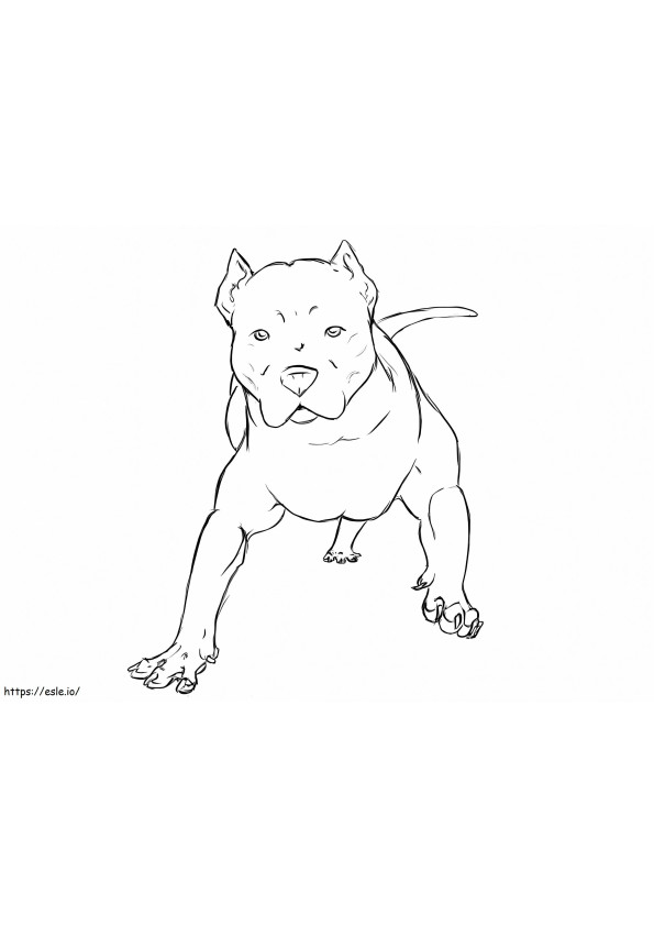 Cachorro Pitbull 1 para colorir