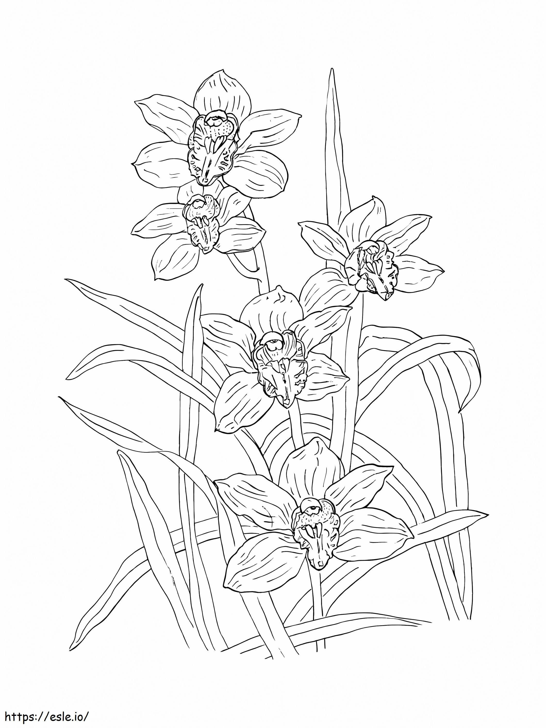 Orchid For Kids coloring page