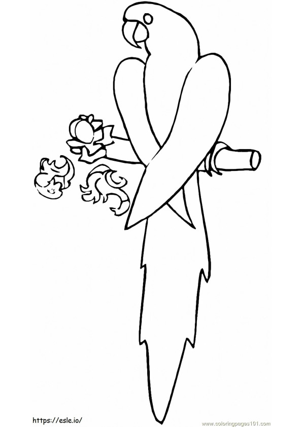 Blue Macaw coloring page