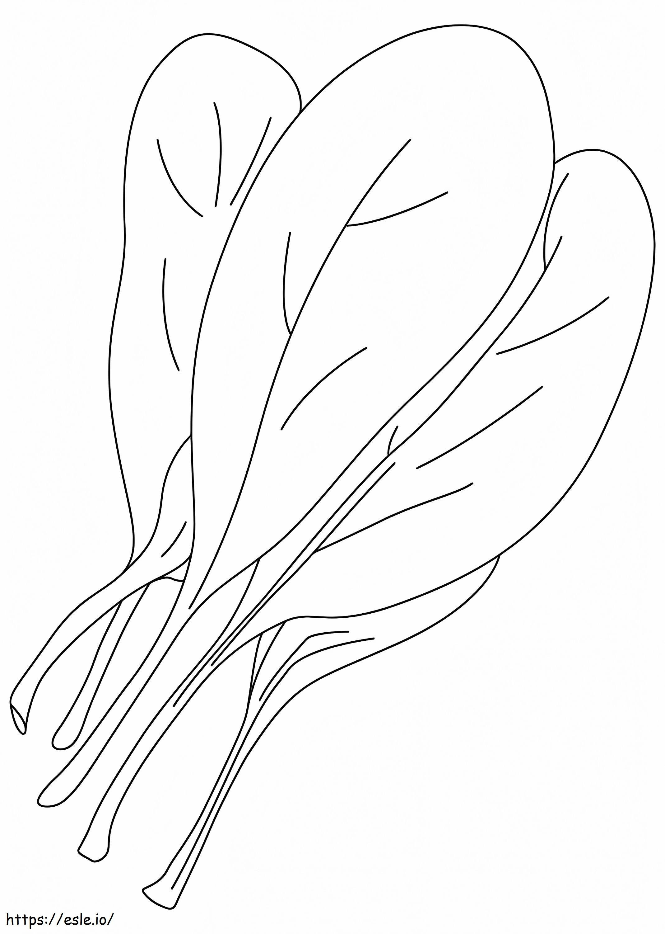 Spinach Free coloring page