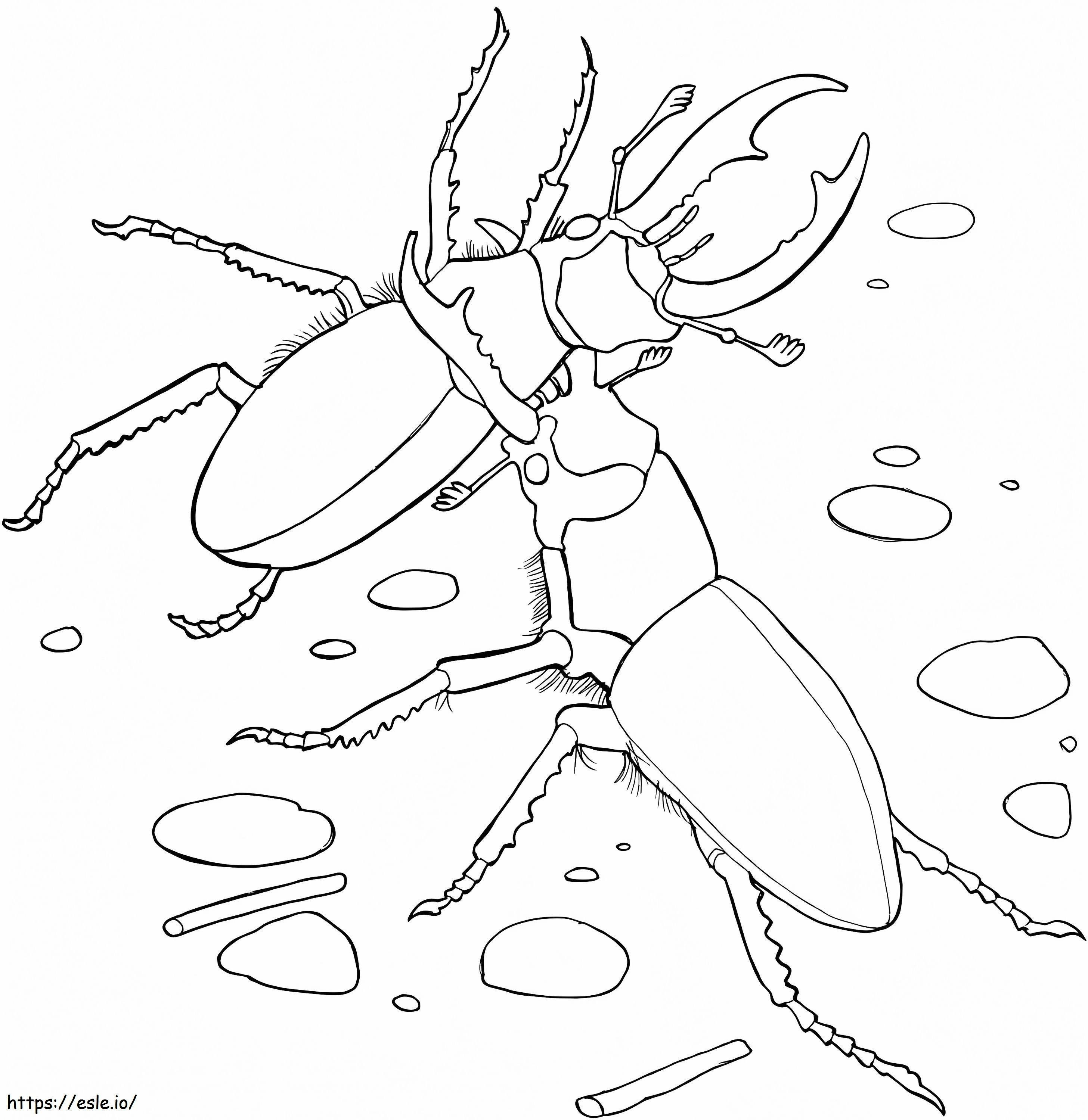 Elephant Stag Beetles coloring page