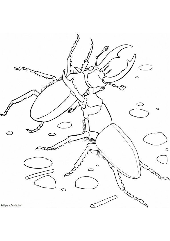 Elephant Stag Beetles coloring page