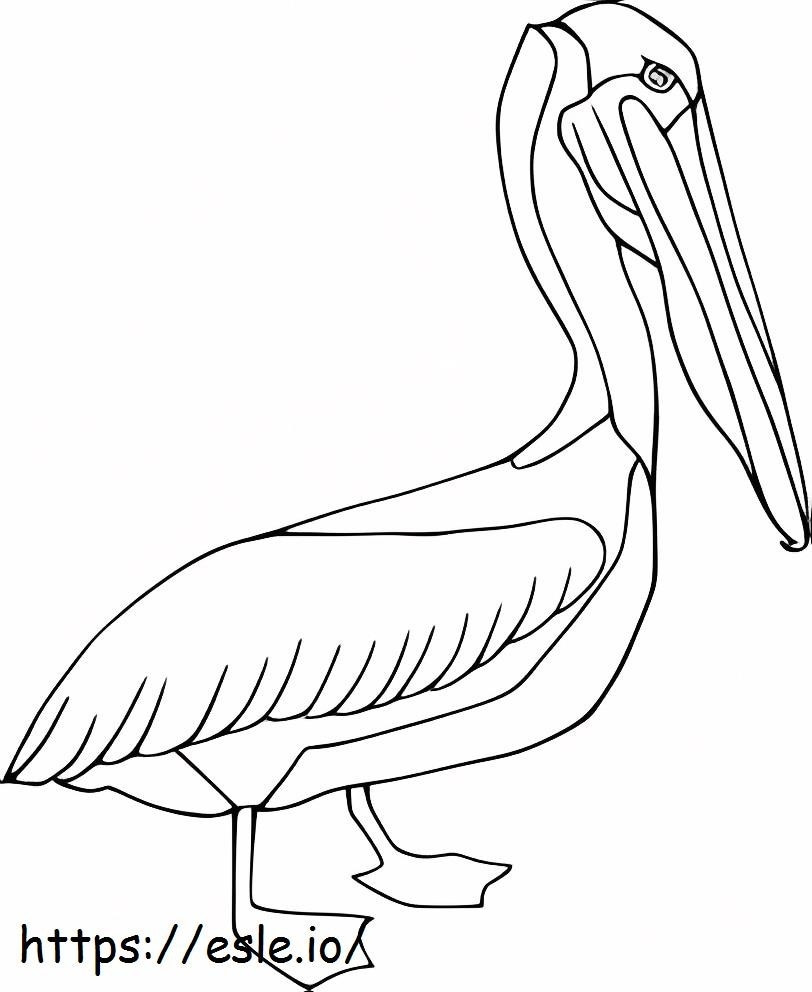 Brązowy pelikan kolorowanka