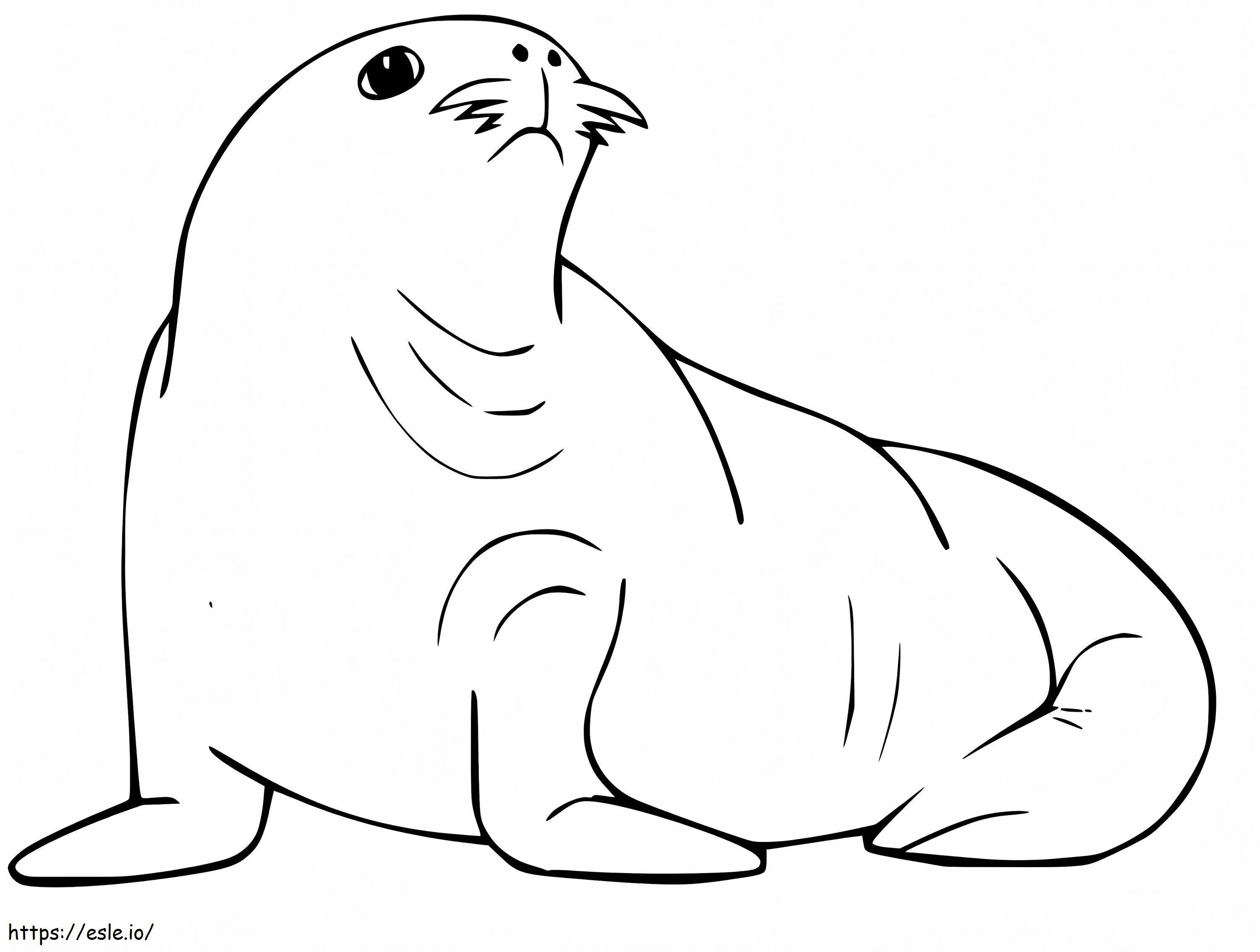 Fat Sea Lion coloring page