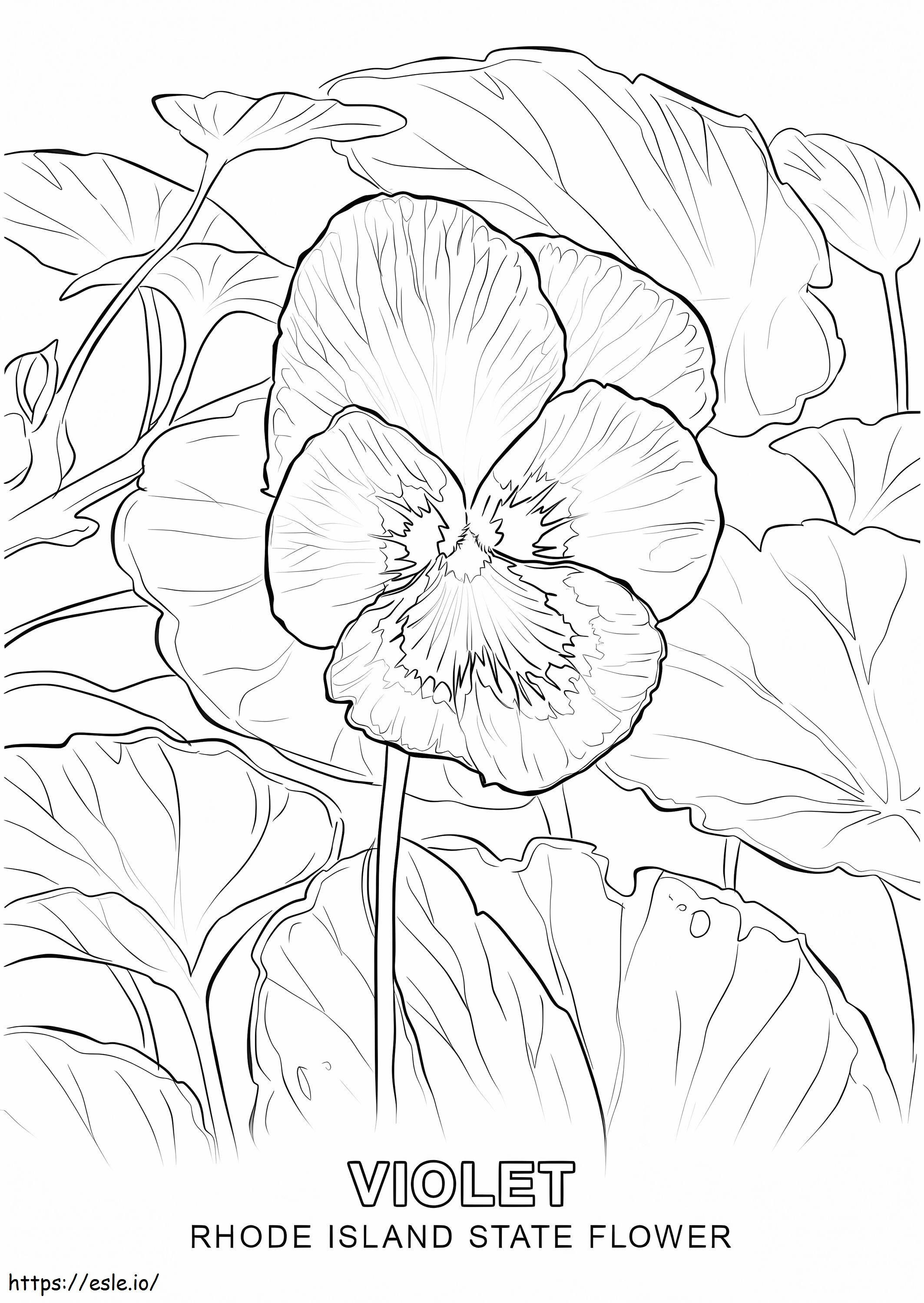 Rhode Island Flower coloring page