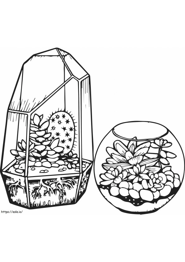 Cacti And Succulents
