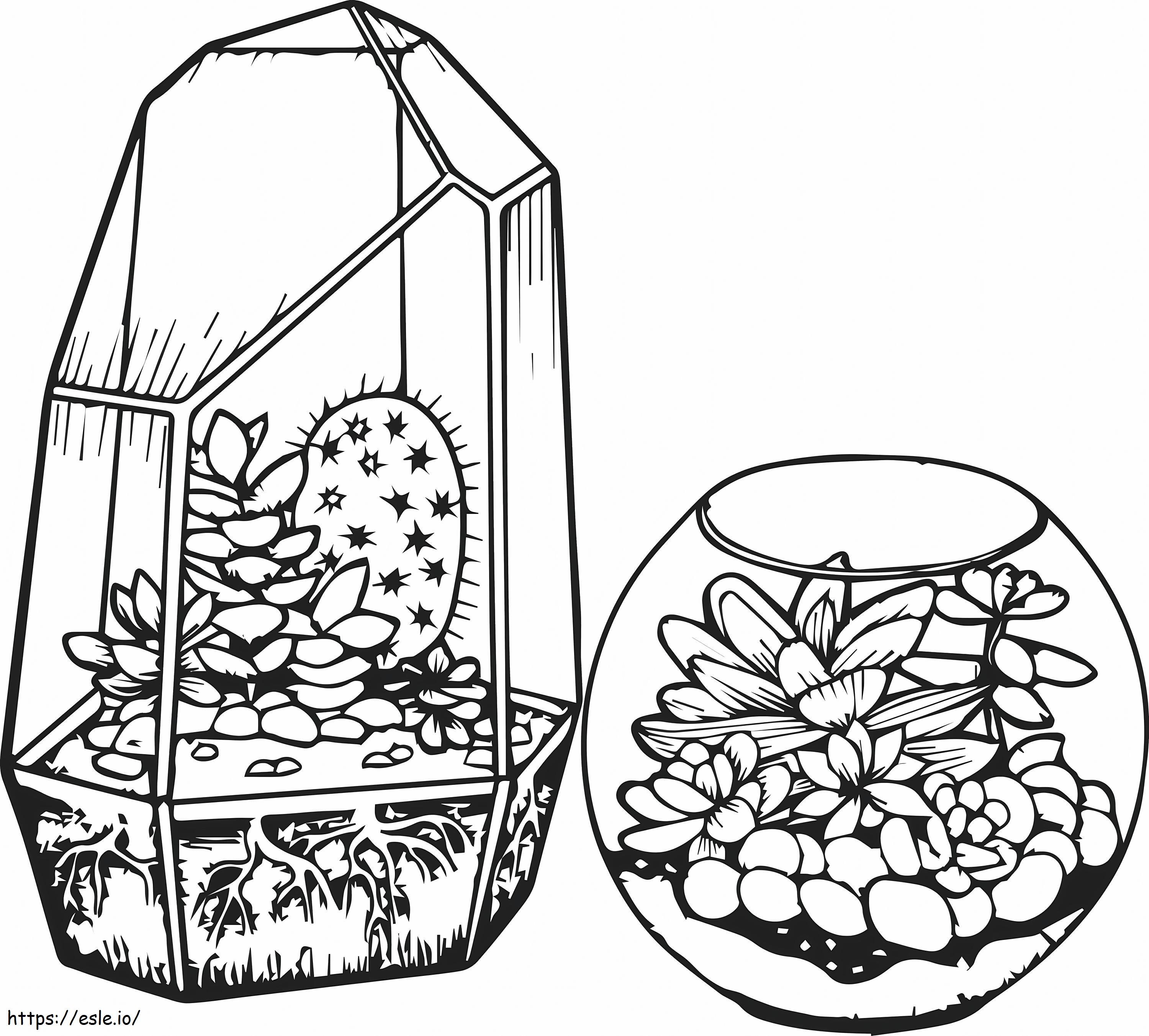 Cacti And Succulents coloring page