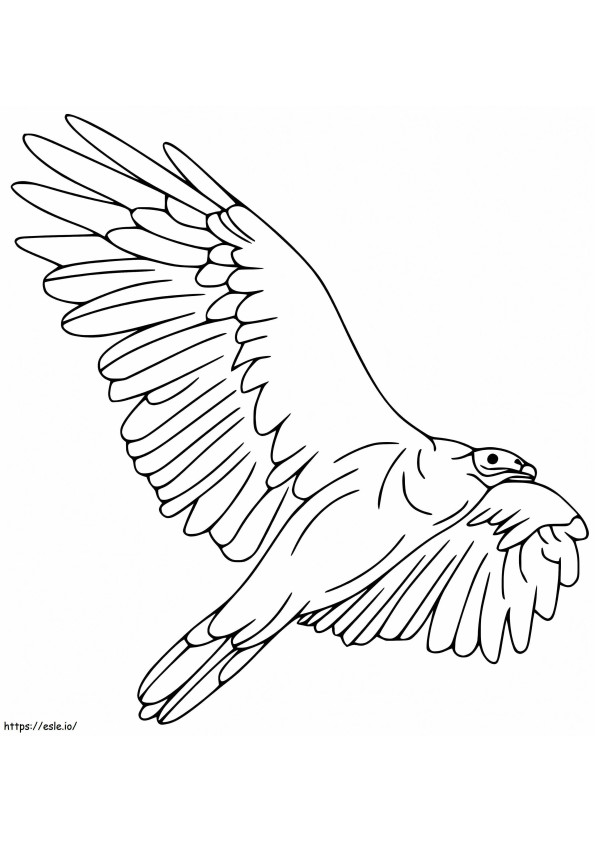 Muștele Vulturului de colorat