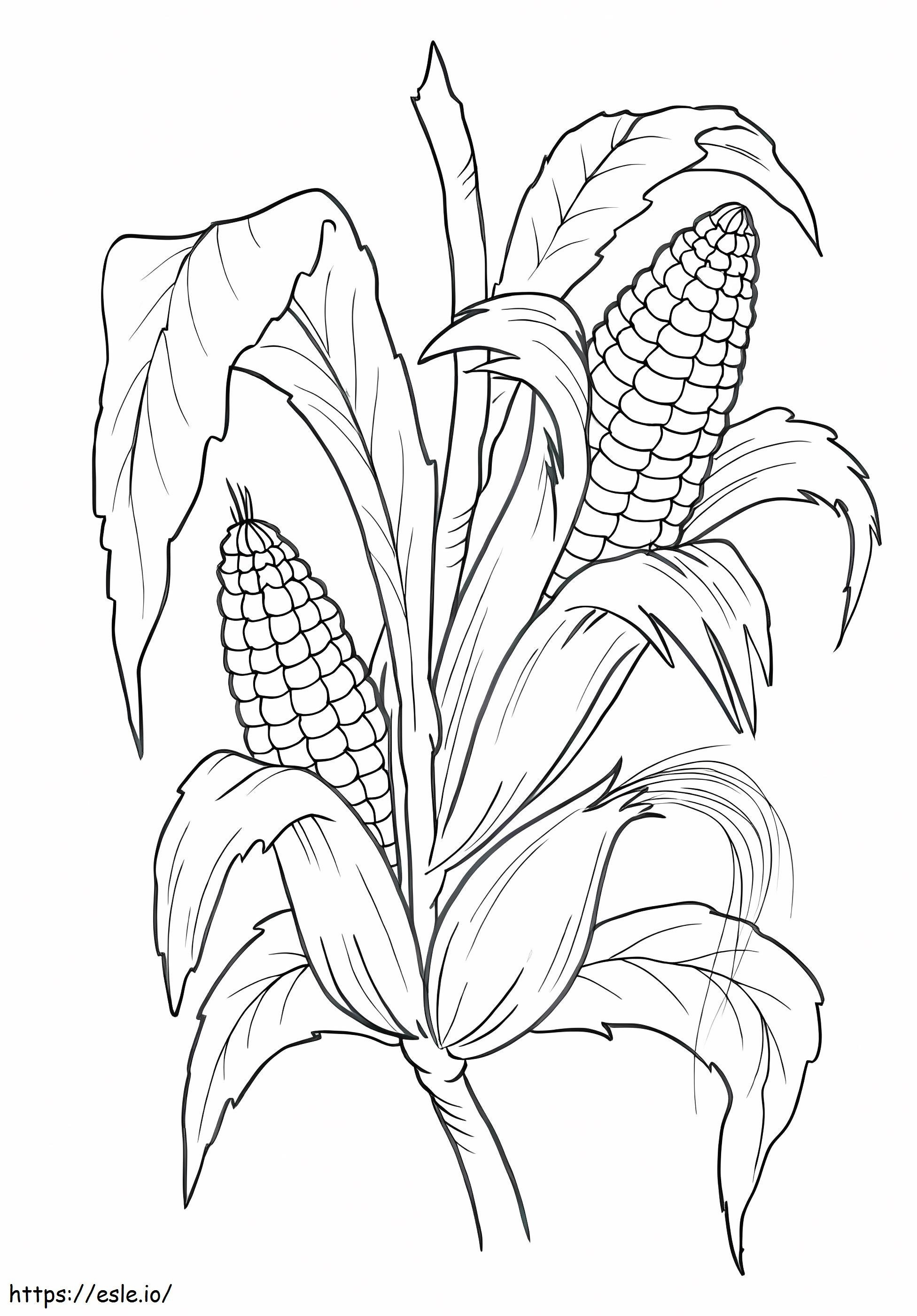 Two Ears Of Corn On The Branch Of A Tree To Color coloring page
