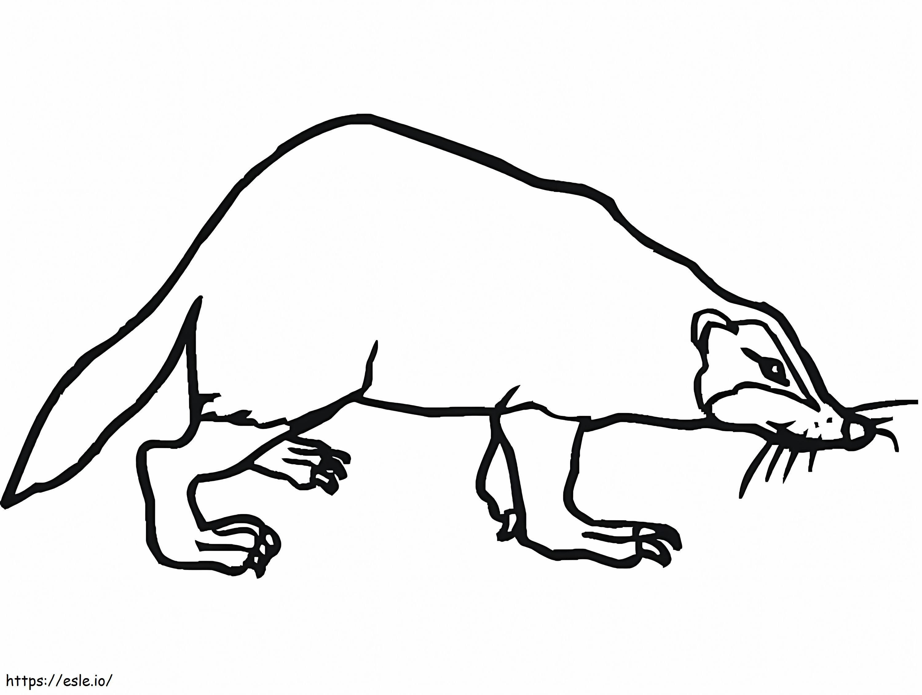 A Simple Badger coloring page