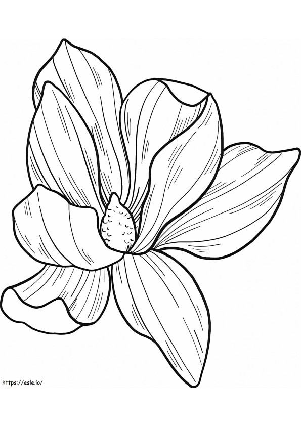 Magnolia Flower 1 coloring page