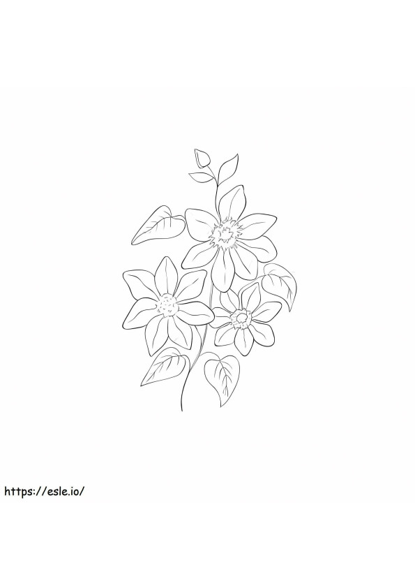 Clematis Printable coloring page
