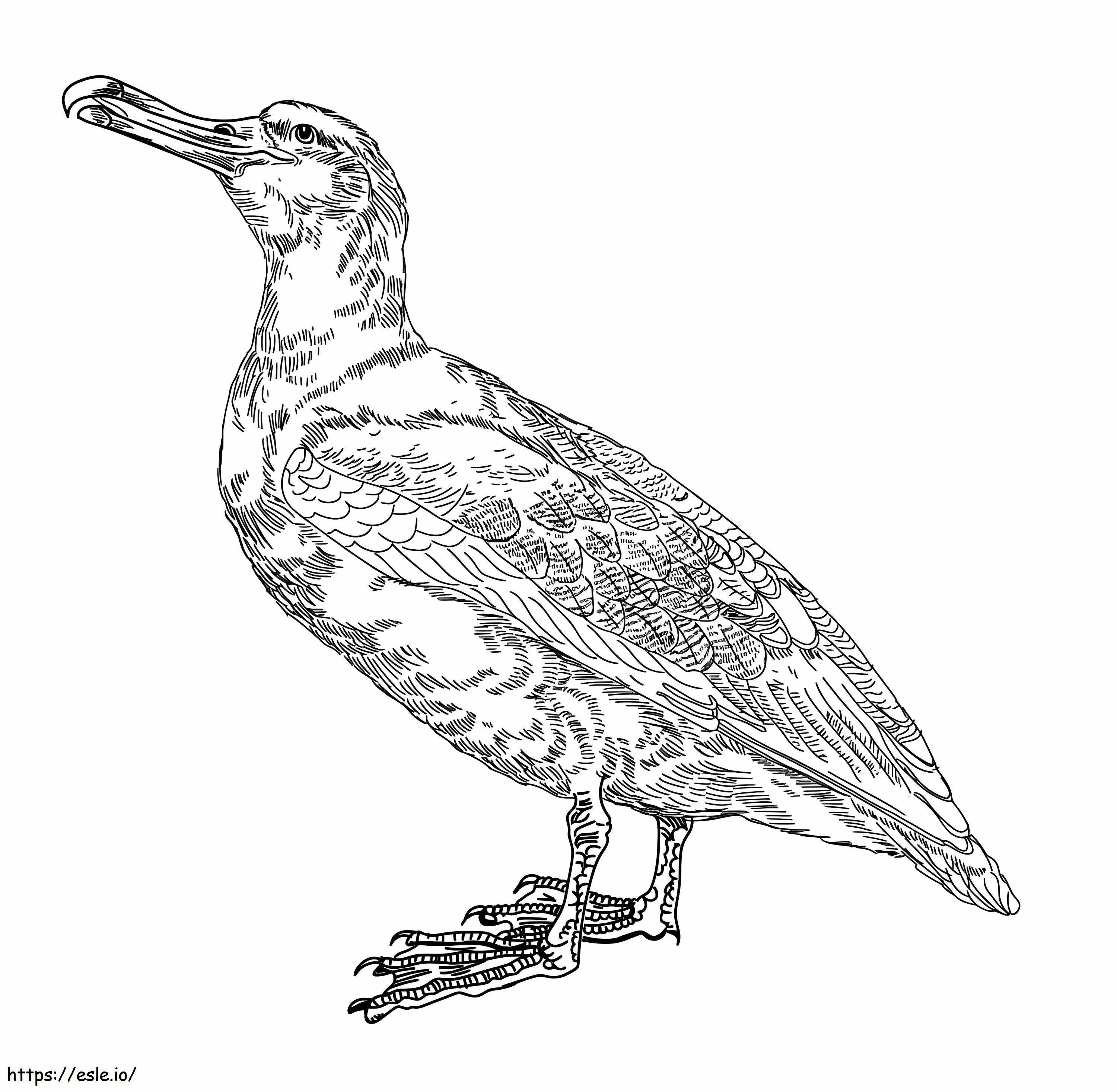 Albatros yang mengembara Gambar Mewarnai