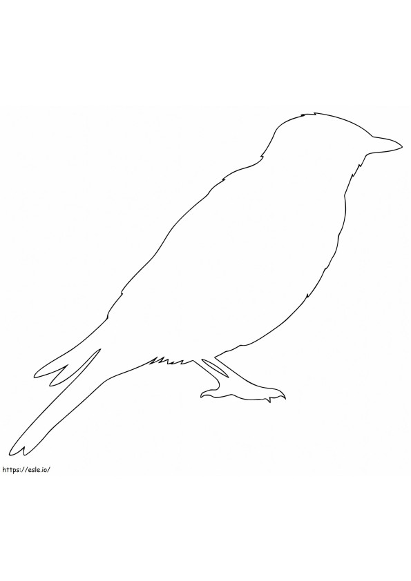 Coloriage Contour de l'oiseau bleu à imprimer dessin