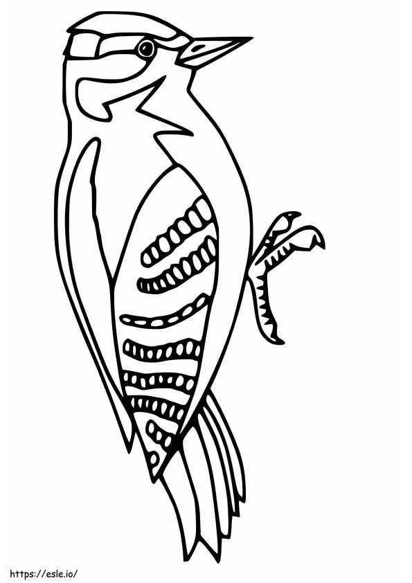 Beautiful Woodpecker coloring page