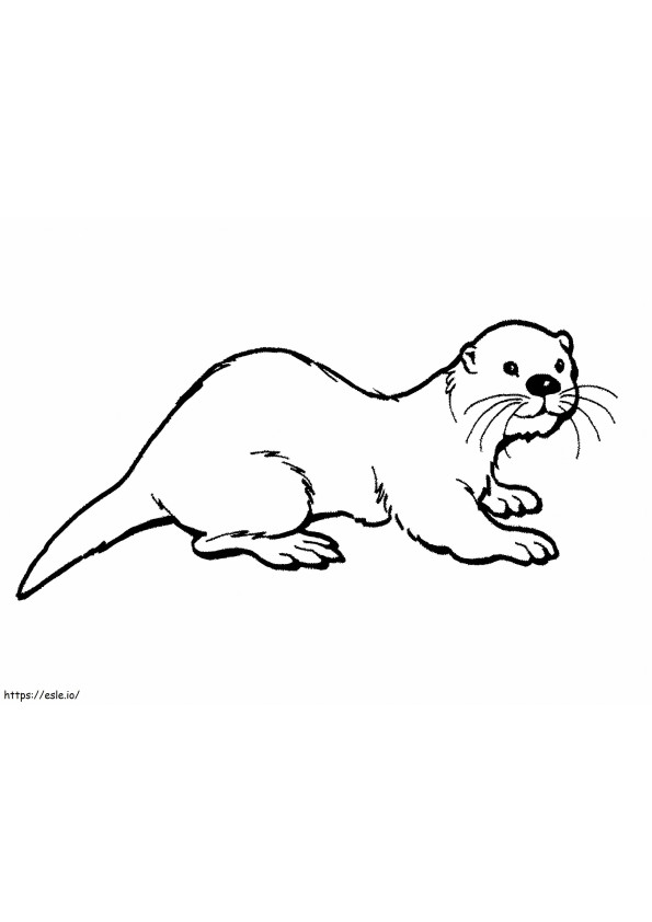 Basic Nutria coloring page