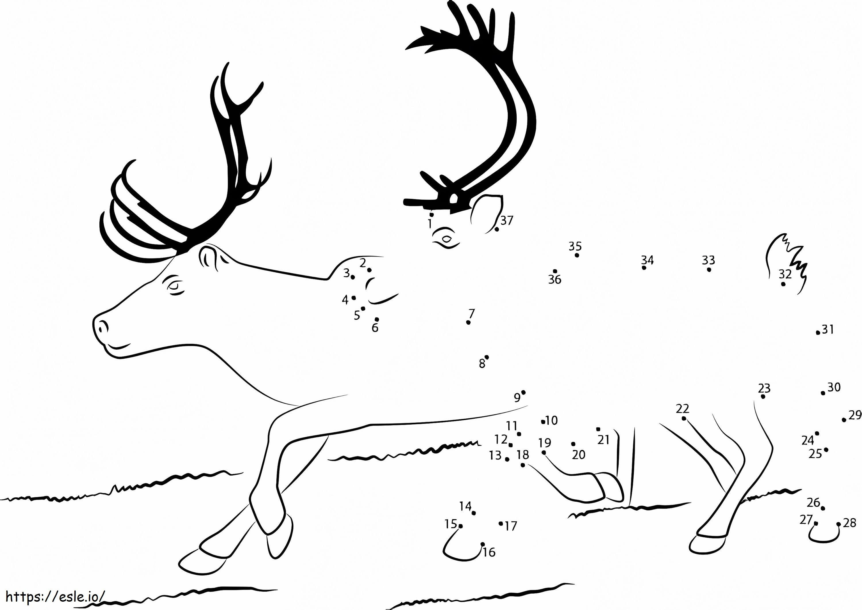Coloriage Deux rennes point à point à imprimer dessin