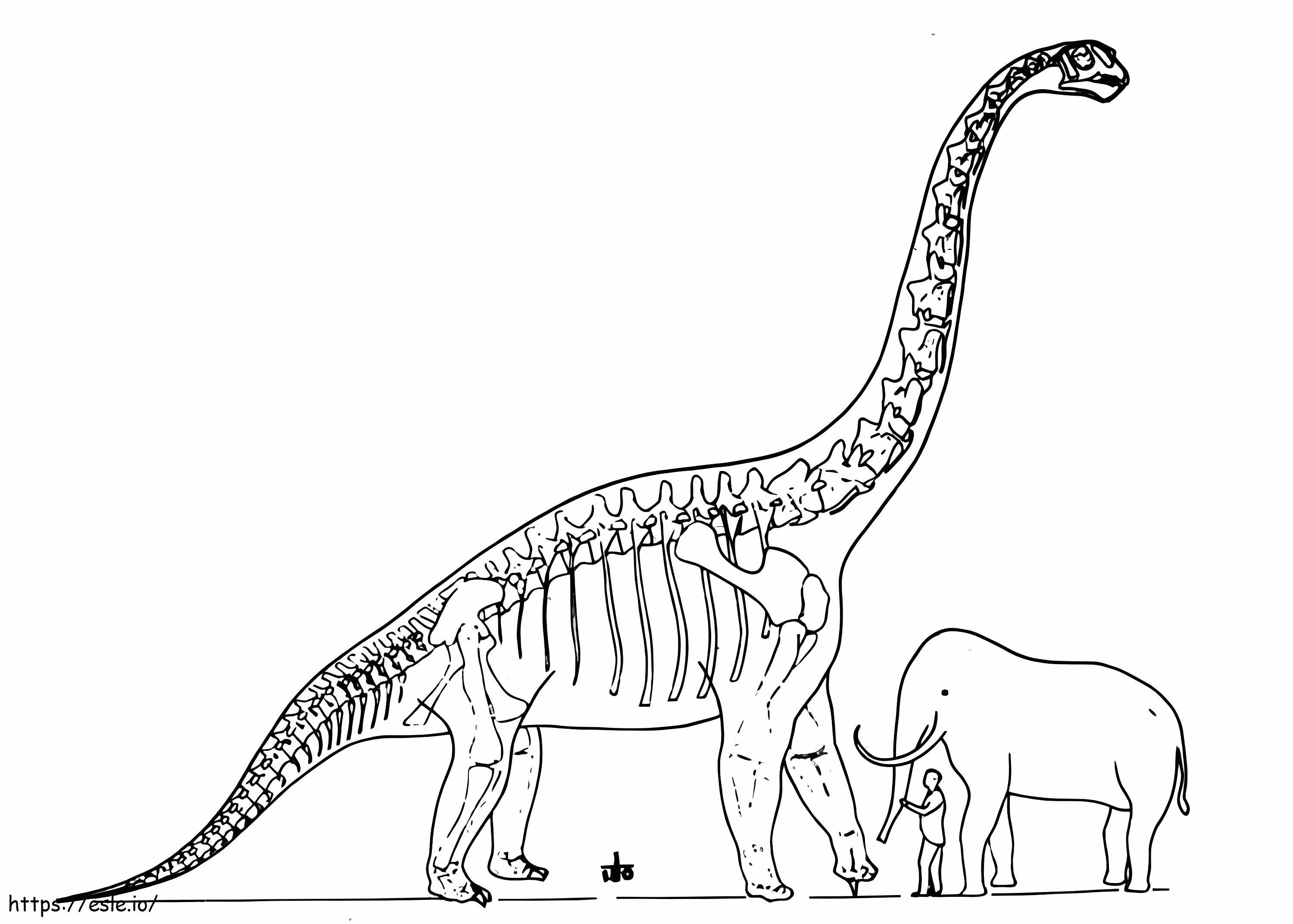 ブラキオサウルスの体 ぬりえ - 塗り絵