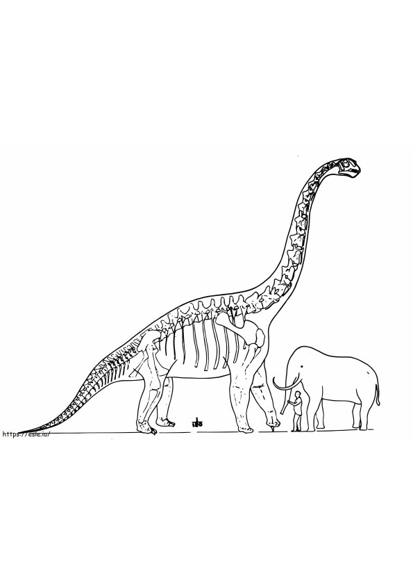 ブラキオサウルスの体 ぬりえ - 塗り絵