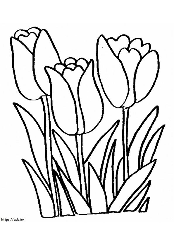 tres tulipanes para colorear